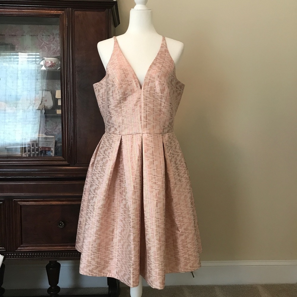 NWT XL Pink Party Dress